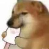 他说影豹要等两个月头像