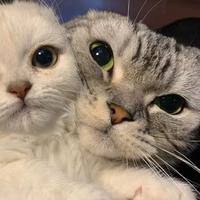 十二月终272头像