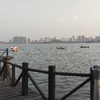 岁月不曾抵达头像