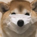 哇呀呀呀啊1h7m头像