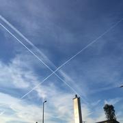 Dev的个人资料头像