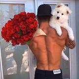 鲜衣怒马666头像