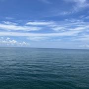 EvynCheung的个人资料头像