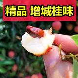 🍎🍎🍎🍎🍓蛋蛋头像