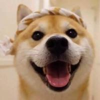 举世无双梅老七头像