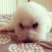 LeoOo的个人资料头像