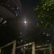 月半323的个人资料头像