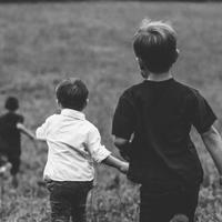 母猪会劈叉头像