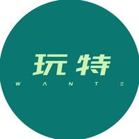 玩特（深圳）汽车网络有限公司头像