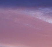 鱼都跑了的个人资料头像