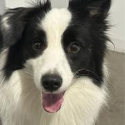 招人好难的个人资料头像