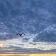 yF的个人资料头像