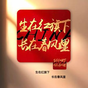 小攀视频头像
