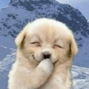 麻了还是麻了的个人资料头像