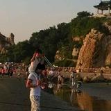 金龙141905269头像
