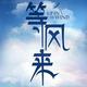 等风来51943061头像