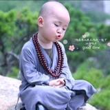 木鱼小he尚头像