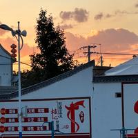 乐天派柠檬6Y3头像