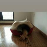 子玉JULIN朱莉头像