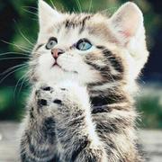 luckyBoy的个人资料头像