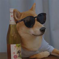 用户2814556853087头像