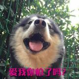 清新咖啡K75头像