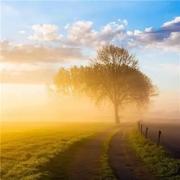 qian552的个人资料头像