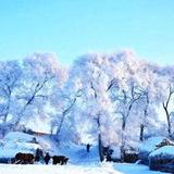 豁达善解人意郭头像