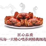 用户6628868500400头像