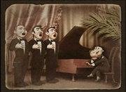 Temir的个人资料头像