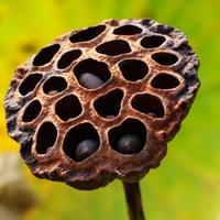 博弈与销售思维头像