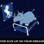 瓶碰盆的个人资料头像