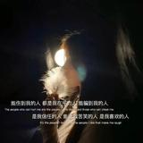 人生无常大肠包小肠0头像