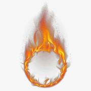 William马的个人资料头像