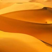 自由的轮船E9头像