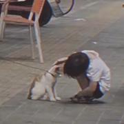 遇风的个人资料头像