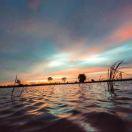 LinJason的个人资料头像