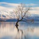 9度的个人资料头像