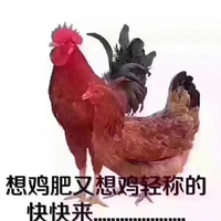 用户1830002430843067头像