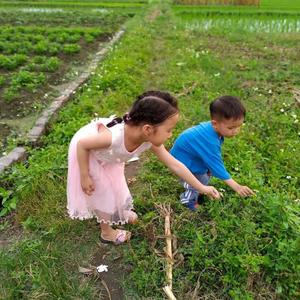 廖小料的生活吖头像