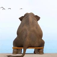 巷子里的回忆W头像