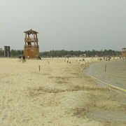 cjwsimple的个人资料头像