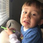 双木成林597的个人资料头像