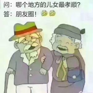 才思敏捷的菜鸡互啄头像