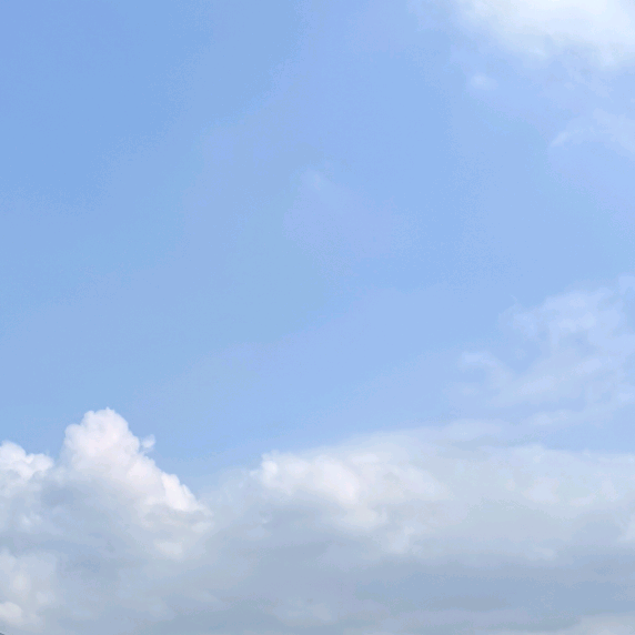 出逃的晨哥头像