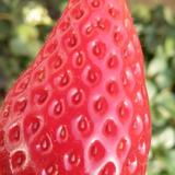 正能量高山80后头像