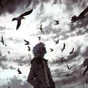 风云448的个人资料头像