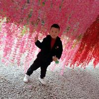 小生不才头像