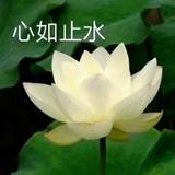 你家严阿姨头像