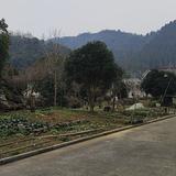 梦缘哥1n2q头像